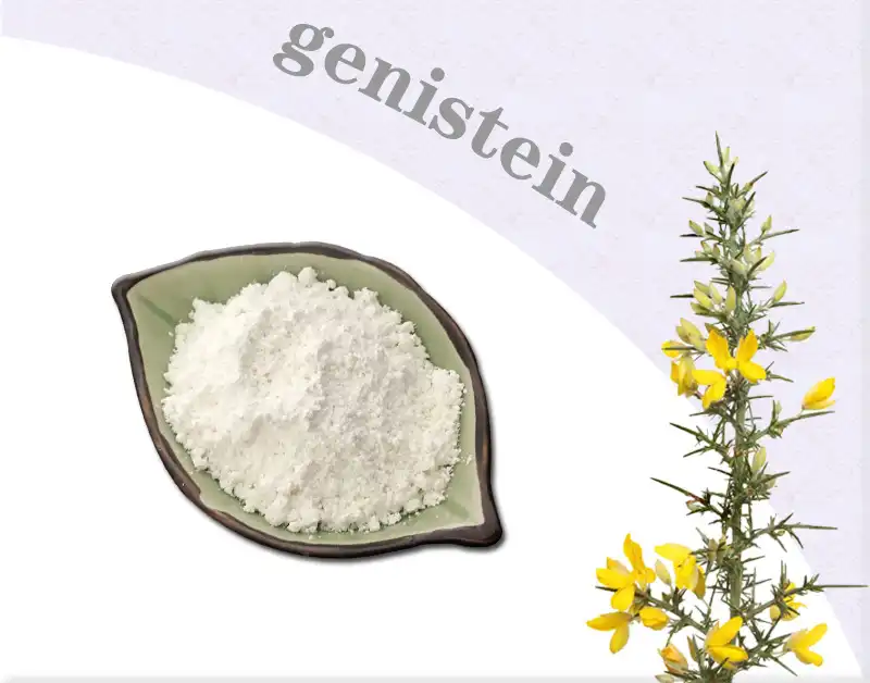 Natural Genistein Powder.jpg
